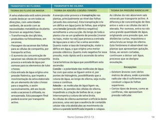 Nuno Correia 2012-13 14
 