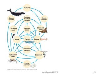 Nuno Correia 2012-13 20
 