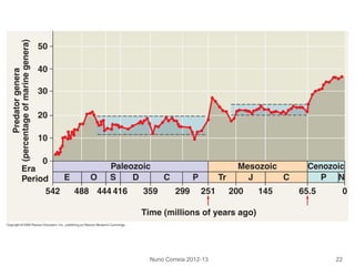 Nuno Correia 2012-13 22
 