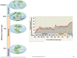 Nuno Correia 2012-13 23
 