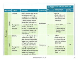 Nuno Correia 2012-13 29
 