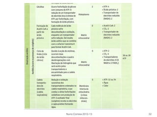 Nuno Correia 2012-13 32
 