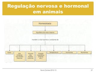 Regulação nervosa e hormonal
em animais
Nuno Correia 2012-13 37
 