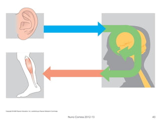 Nuno Correia 2012-13 40
 