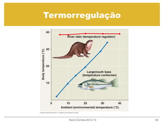Termorregulação
Nuno Correia 2012-13 54
 