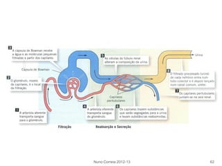 Nuno Correia 2012-13 62
 