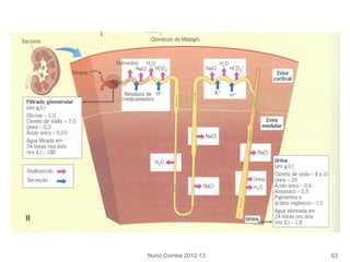 Nuno Correia 2012-13 63
 