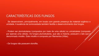 CARACTERÍSTICAS DOS FUNGOS
- Se desenvolvem, principalmente, em locais com grande presença de material orgânico e
umidade. A ausência de luminosidade também facilita o desenvolvimento dos fungos.
- Podem ser pluricelulares (compostos por mais de uma célula) ou unicelulares (composto
por apenas uma célula). Os fungos pluricelulares, que são a maioria, possuem o talo que é
denominado micélio. Este micélio é composto por filamentos (hifas).
- Os fungos não possuem clorofila.
 