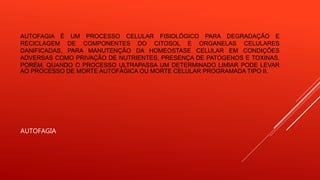 AUTOFAGIA É UM PROCESSO CELULAR FISIOLÓGICO PARA DEGRADAÇÃO E
RECICLAGEM DE COMPONENTES DO CITOSOL E ORGANELAS CELULARES
DANIFICADAS, PARA MANUTENÇÃO DA HOMEOSTASE CELULAR EM CONDIÇÕES
ADVERSAS COMO PRIVAÇÃO DE NUTRIENTES, PRESENÇA DE PATÓGENOS E TOXINAS.
PORÉM, QUANDO O PROCESSO ULTRAPASSA UM DETERMINADO LIMIAR PODE LEVAR
AO PROCESSO DE MORTE AUTOFÁGICA OU MORTE CELULAR PROGRAMADA TIPO II.
AUTOFAGIA
 