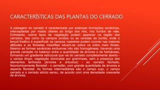 CARACTERÍSTICAS DAS PLANTAS DO CERRADO
A paisagem do cerrado é caracterizada por extensas formações savânicas,
interceptadas por matas ciliares ao longo dos rios, nos fundos de vale.
Entretanto, outros tipos de vegetação podem aparecer na região dos
cerrados, tais como os campos úmidos ou as veredas de buritis, onde o
lençol freático é superficial; os campos rupestres podem ocorrer nas maiores
altitudes e as florestas mesófilas situam-se sobre os solos mais férteis.
Mesmo as formas savânicas exclusivas não são homogêneas, havendo uma
grande variação no balanço entre a quantidade de árvores e de herbáceas,
formando um gradiente estrutural que vai do cerrado completamente aberto -
o campo limpo, vegetação dominada por gramíneas, sem a presença dos
elementos lenhosos (árvores e arbustos) - ao cerrado fechado,
fisionomicamente florestal - o cerradão, com grande quantidade de árvores e
aspecto florestal. As formas intermediárias são o campo sujo, o campo
cerrado e o cerrado stricto sensu, de acordo com uma densidade crescente
de árvores.
 