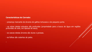Características do Cerrado:
- presença marcante de árvores de galhos tortuosos e de pequeno porte.
- as raízes destes arbustos são profundas (propriedade para a busca de água em regiões
profundas do solo, em épocas de seca).
- as cascas destas árvores são duras e grossas.
- as folhas são cobertas de pelos.
-
 