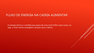FLUXO DE ENERGIA NA CADEIA ALIMENTAR
A energia diminui a medida que passa de uma nível trófico para outro, ou
seja, o nível menos energético sempre será o último.
 