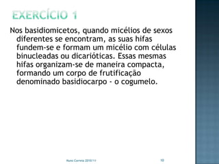 Nos basidiomicetos, quando micélios de sexos
 diferentes se encontram, as suas hifas
 fundem-se e formam um micélio com células
 binucleadas ou dicarióticas. Essas mesmas
 hifas organizam-se de maneira compacta,
 formando um corpo de frutificação
 denominado basidiocarpo - o cogumelo.




              Nuno Correia 2010/11     10
 