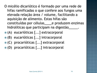 O micélio dicariótico é formado por uma rede de
  hifas ramificadas o que confere aos fungos uma
  elevada relação área / volume, facilitando a
  aquisição de alimento. Estas hifas são
  constituídas por células____e produzem enzimas
  hidrolíticas que participam na digestão_____.
 (A) eucarióticas [...] extracorporal
 (B) eucarióticas [...] intracorporal
 (C) procarióticas [...] extracorporal
 (D) procarióticas [...] intracorporal




               Nuno Correia 2010/11     14
 