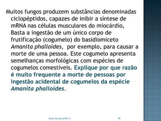 Muitos fungos produzem substâncias denominadas
 ciclopéptidos, capazes de inibir a síntese de
 mRNA nas células musculares do miocárdio,
 Basta a ingestão de um único corpo de
 frutificação (cogumelo) do basidiomiceto
 Amanita phalloides, por exemplo, para causar a
 morte de uma pessoa. Este cogumelo apresenta
 semelhanças morfológicas com espécies de
 cogumelos comestíveis. Explique por que razão
 é muito frequente a morte de pessoas por
 ingestão acidental de cogumelos da espécie
 Amanita phalloides.



               Nuno Correia 2010/11    16
 