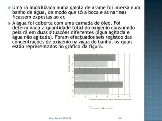    Uma rã imobilizada numa gaiola de arame foi imersa num
    banho de água, de modo que só a boca e as narinas
    ficassem expostas ao ar.
   A água foi coberta com uma camada de óleo. Foi
    determinada a quantidade total do oxigénio consumido
    pela rã em duas situações diferentes (água agitada e
    água não agitada). Foram efectuados seis registos das
    concentrações de oxigénio na água do banho, os quais
    estão representados no gráfico da figura.




                   Nuno Correia 2010/11         26
 