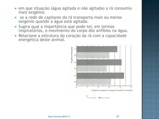  em que situação (água agitada e não agitada) a rã consumiu
  mais oxigénio.
 se a rede de capilares da rã transporta mais ou menos
  oxigénio quando a água está agitada.
 Sugira qual a importância que pode ter, em termos
  respiratórios, o movimento do corpo dos anfíbios na água.
 Relacione a estrutura do coração da rã com a capacidade
  energética deste animal.




                 Nuno Correia 2010/11               27
 
