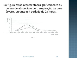 Na figura estão representadas graficamente as
 curvas de absorção e de transpiração de uma
 árvore, durante um período de 24 horas.




               Nuno Correia 2010/11     30
 