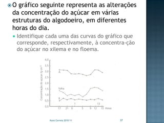 O gráfico seguinte representa as alterações
 da concentração do açúcar em várias
 estruturas do algodoeiro, em diferentes
 horas do dia.
    Identifique cada uma das curvas do gráfico que
     corresponde, respectivamente, à concentra-ção
     do açúcar no xilema e no floema.




                 Nuno Correia 2010/11        37
 