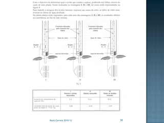 Nuno Correia 2010/11   39
 