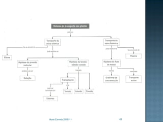 Nuno Correia 2010/11   41
 