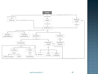 Nuno Correia 2010/11   49
 