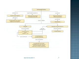 Nuno Correia 2010/11   7
 