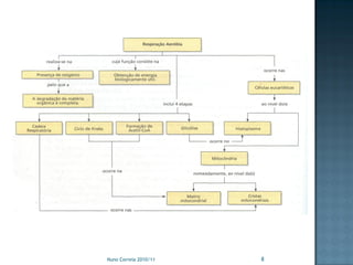 Nuno Correia 2010/11   8
 