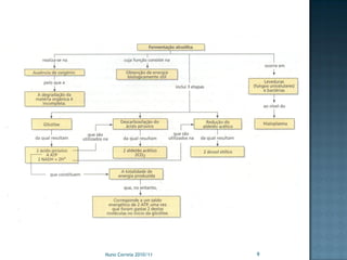 Nuno Correia 2010/11   9
 