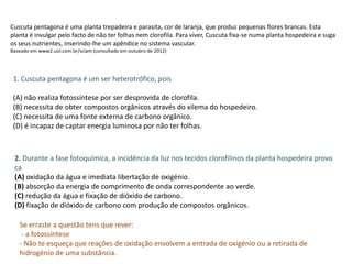 Cuscuta pentagona é uma planta trepadeira e parasita, cor de laranja, que produz pequenas flores brancas. Esta
planta é invulgar pelo facto de não ter folhas nem clorofila. Para viver, Cuscuta fixa-se numa planta hospedeira e suga
os seus nutrientes, inserindo-lhe um apêndice no sistema vascular.
Baseado em www2.uol.com.br/sciam (consultado em outubro de 2012)
1. Cuscuta pentagona é um ser heterotrófico, pois
(A) não realiza fotossíntese por ser desprovida de clorofila.
(B) necessita de obter compostos orgânicos através do xilema do hospedeiro.
(C) necessita de uma fonte externa de carbono orgânico.
(D) é incapaz de captar energia luminosa por não ter folhas.
2. Durante a fase fotoquímica, a incidência da luz nos tecidos clorofilinos da planta hospedeira provo
ca
(A) oxidação da água e imediata libertação de oxigénio.
(B) absorção da energia de comprimento de onda correspondente ao verde.
(C) redução da água e fixação de dióxido de carbono.
(D) fixação de dióxido de carbono com produção de compostos orgânicos.
Se erraste a questão tens que rever:
- a fotossíntese
- Não te esqueça que reações de oxidação envolvem a entrada de oxigénio ou a retirada de
hidrogénio de uma substância.
 