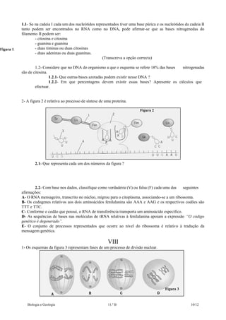 Figura 1

1.1- Se na cadeia I cada um dos nucleótidos representados tiver uma base púrica e os nucleótidos da cadeia II
tanto podem ser encontrados no RNA como no DNA, pode afirmar-se que as bases nitrogenedas do
filamento II podem ser:
- citosina e citosina
- guanina e guanina
- duas timinas ou duas citosinas
- duas adeninas ou duas guaninas.
(Transcreva a opção correcta)
1.2- Considere que no DNA do organismo a que o esquema se refere 18% das bases
nitrogenadas
são de citosina.
1.2.1- Que outras bases azotadas podem existir nesse DNA ?
1.2.2- Em que percentagens devem existir essas bases? Apresente os cálculos que
efectuar.
2- A figura 2 é relativa ao processo de síntese de uma proteína.
Figura 2

2.1- Que representa cada um dos números da figura ?

2.2- Com base nos dados, classifique como verdadeira (V) ou falsa (F) cada uma das
seguintes
afirmações:
A- O RNA mensageiro, transcrito no núcleo, migrou para o citoplasma, associando-se a um ribossoma.
B- Os codogenes relativos aos dois aminoácidos fenilalanina são AAA e AAG e os respectivos codões são
TTT e TTC.
C- Conforme o codão que possui, o RNA de transferência transporta um aminoácido específico.
D- As sequências de bases nas moléculas de tRNA relativas à fenilalanina apoiam a expressão “O código
genético é degenerado”.
E- O conjunto de processos representados que ocorre ao nível do ribossoma é relativo à tradução da
mensagem genética.

VIII
1- Os esquemas da figura 3 representam fases de um processo de divisão nuclear.

Figura 3

Biologia e Geologia

11.º B

10/12

 