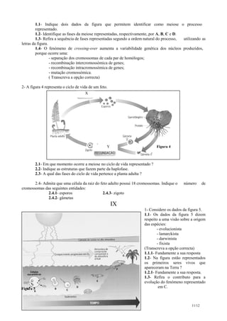 1.1- Indique dois dados da figura que permitem identificar como meiose o processo
representado.
1.2- Identifique as fases da meiose representadas, respectivamente, por A, B, C e D.
1.3- Refira a sequência de fases representadas segundo a ordem natural do processo,
utilizando as
letras da figura.
1.4- O fenómeno de crossing-over aumenta a variabilidade genética dos núcleos produzidos,
porque ocorre uma:
- separação dos cromossomas de cada par de homólogos;
- recombinação intercromossómica de genes;
- recombinação intracromossómica de genes;
- mutação cromossómica.
( Transcreva a opção correcta)
2- A figura 4 representa o ciclo de vida de um feto.
X

Y

Figura 4

2.1- Em que momento ocorre a meiose no ciclo de vida representado ?
2.2- Indique as estruturas que fazem parte da haplofase.
2.3- A qual das fases do ciclo de vida pertence a planta adulta ?
2.4- Admita que uma célula da raiz do feto adulto possui 18 cromossomas. Indique o
cromossomas das seguintes entidades:
2.4.1- esporos
2.4.3- zigoto
2.4.2- gâmetas

número

de

IX
1- Considere os dados da figura 5.
1.1- Os dados da figura 5 dizem
respeito a uma visão sobre a origem
das espécies:
- evolucionista
- lamarckista
- darwinista
- fixista
(Transcreva a opção correcta)
1.1.1- Fundamente a sua resposta
1.2- Na figura estão representados
os primeiros seres vivos que
apareceram na Terra ?
1.2.1- Fundamente a sua resposta.
1.3- Refira o contributo para a
evolução do fenómeno representado
em C.

Figura 5

Biologia e Geologia

11.º B

11/12

 