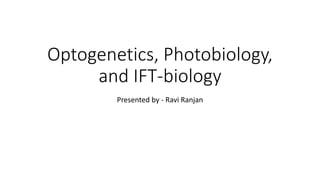 Optogenetics, Photobiology,
and IFT-biology
Presented by - Ravi Ranjan
 
