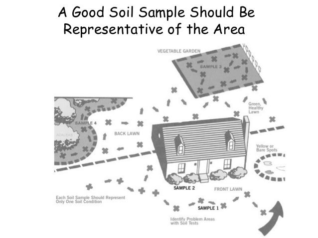 preparation of soil sample Schematic representation of the procedure followed to prepare the.