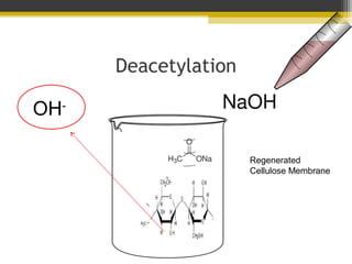 Deacetylation
OHRegenerated
Cellulose Membrane

 