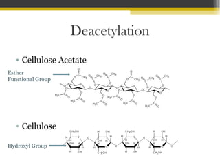 Deacetylation
• Cellulose Acetate
Esther
Functional Group

• Cellulose
Hydroxyl Group

 