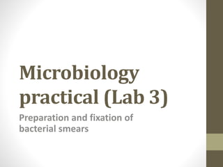Microbiology
practical (Lab 3)
Preparation and fixation of
bacterial smears
 