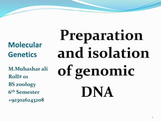 Molecular 
Genetics 
M.Mubashar ali 
Roll# 01 
BS zoology 
6th Semester 
+923026243208 
Preparation 
and isolation 
of genomic 
DNA 
1 
 