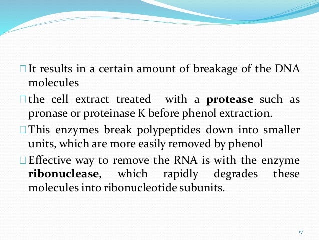 proteinase k for solution extraction dna isolation and genomic of Preparation