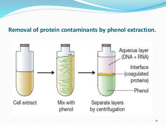 Preparation and isolation of genomic