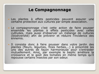 Le Compagnonnage

   Les plantes à effets pesticides peuvent assurer une
    certaine protection aux cultures par simple association.

   Le compagnonnage c’est cette action de faire pousser
    ensemble les plantes à effets pesticides avec celles
    cultivées, mais aussi d’observer un mélange de cultures
    (biodiversité) afin de prévenir et réduire l’incidence des
    ennemis.

   Il consiste donc à faire pousser dans votre jardin des
    plantes (fleurs, légumes, fines herbes,…) à proximité les
    uns des autres de façon harmonieuse pour s’entraider
    mutuellement. Ainsi, par exemple le basilic améliore la
    croissance et le goût des tomates en même temps qu’il
    repousse certains insectes par son odeur.
 
