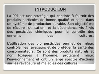 INTRODUCTION
La PPI est une stratégie qui consiste à fournir des
produits horticoles de bonne qualité et sains dans
un système de production durable. Son objectif est
de réduire l’utilisation et la dépendance vis à vis
des pesticides chimiques pour le contrôle des
ennemis                  des              cultures.

L'utilisation des bio pesticides permet de mieux
contrôler les ravageurs et de protéger la santé des
consommateurs. Ce sont des produits naturels et
non toxiques à l'homme, protègent mieux
l'environnement et ont un large spectre d'actions
sur les ravageurs et maladies des cultures.
 