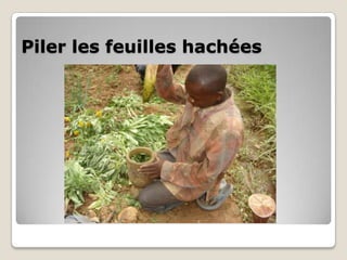 Piler les feuilles hachées
 