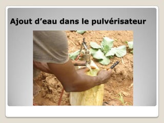 Ajout d’eau dans le pulvérisateur
 