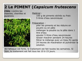 2 Le PIMENT (Capsicum frutescens
Cible : contre les
insectes, chenilles et     Matériel :
pucerons                      100 g de piments séchés ou frais
                              5 litres d’eau savonneuse

                           Préparation :
                               piler les piments et les réduire en
                               poudre ou en pâte
                               mélanger la poudre ou la pâte dans 1
                               litre d’eau
                               ajouter 5 litres d’eau savonneuse
                               laisser macérer pendant 24 heures
                               filtrer le mélange avec un tissu fin après
                               24 heures de macération et pulvériser la
                               solution.
Si l’attaque est forte, le traitement est fait toutes les semaines. Si
non, le traitement est fait tous les 10 à 15 jours.
 