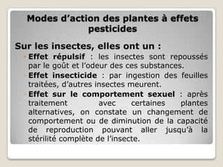Modes d’action des plantes à effets
              pesticides

Sur les insectes, elles ont un :
 • Effet répulsif : les insectes sont repoussés
   par le goût et l’odeur des ces substances.
 ◦ Effet insecticide : par ingestion des feuilles
   traitées, d’autres insectes meurent.
 ◦ Effet sur le comportement sexuel : après
   traitement          avec     certaines   plantes
   alternatives, on constate un changement de
   comportement ou de diminution de la capacité
   de reproduction pouvant aller jusqu’à la
   stérilité complète de l’insecte.
 