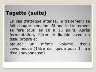 Tagette (suite)
 En cas d’attaque intense, le traitement se
  fait chaque semaine. Si non le traitement
  se fera tous les 10 à 15 jours. Après
  fermentation, filtrer le liquide avec un
  tissu propre et
 ajouter    un   même      volume     d’eau
  savonneuse (1litre de liquide pour 1 litre
  d’eau savonneuse)
 
