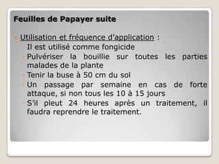 Feuilles de Papayer suite

   Utilisation et fréquence d’application :
    ◦ Il est utilisé comme fongicide
    ◦ Pulvériser la bouillie sur toutes les parties
      malades de la plante
    ◦ Tenir la buse à 50 cm du sol
    ◦ Un passage par semaine en cas de forte
      attaque, si non tous les 10 à 15 jours
    ◦ S’il pleut 24 heures après un traitement, il
      faudra reprendre le traitement.
 
