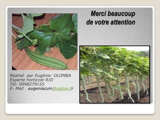 Merci beaucoup
                                de votre attention




Réalisé par Eugénie OLOMBA
Experte horticole R/D
Tél: 0998279155
E- Mail : eugeniacum@yahoo.fr
 