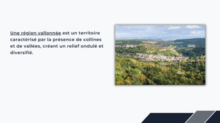 Une région vallonnée est un territoire
caractérisé par la présence de collines
et de vallées, créant un relief ondulé et
diversifié.
 